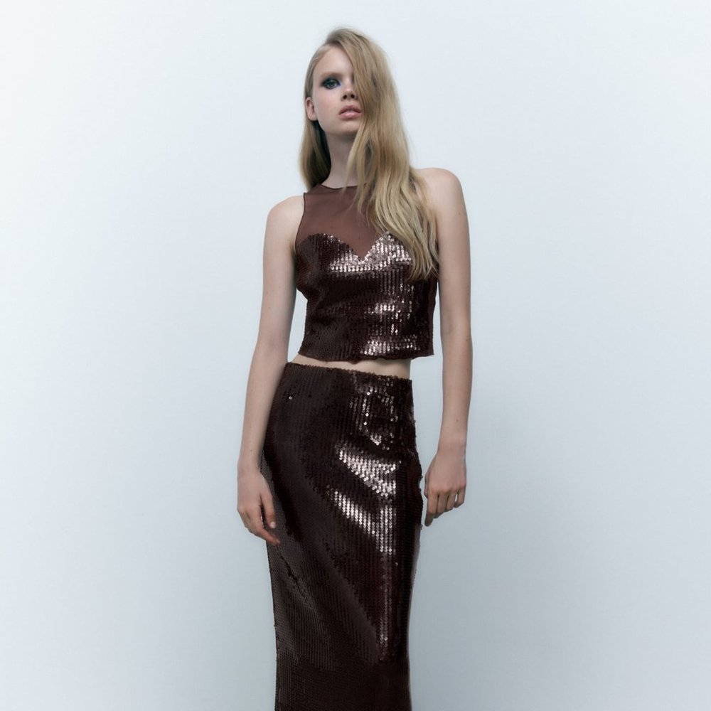 BNWT ZARA SKIRT SET 2 PIECES SEQUIN TULLE TOP AND SKIRT DARK BROWN SMALL